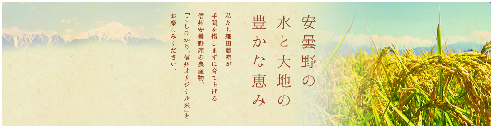 細田農産の信州安曇野産「コシヒカリ」